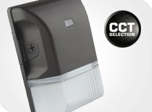 GuardMAX Entry Wall Packs